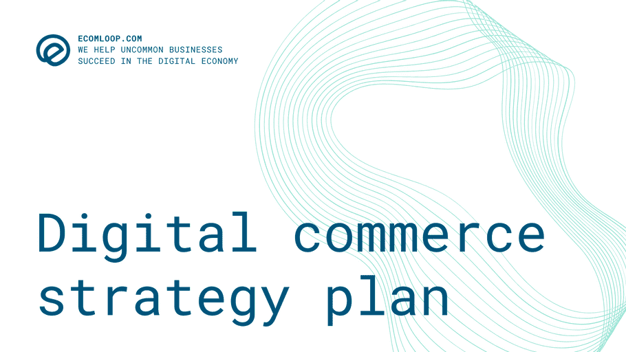 ecommerce-platform-strategy-plan